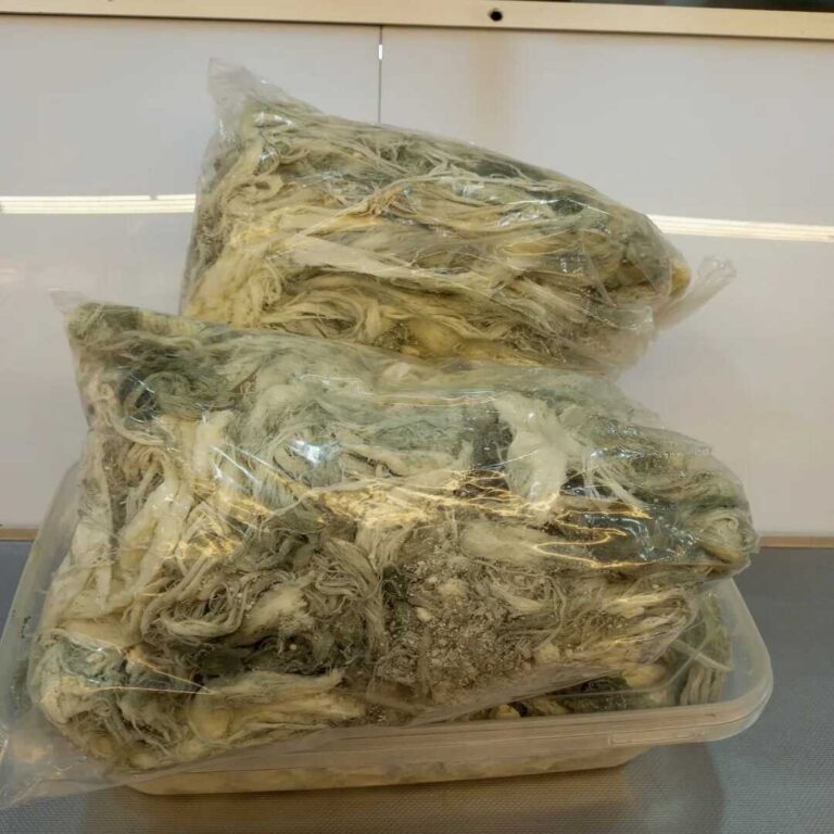 gogermisPeynir2